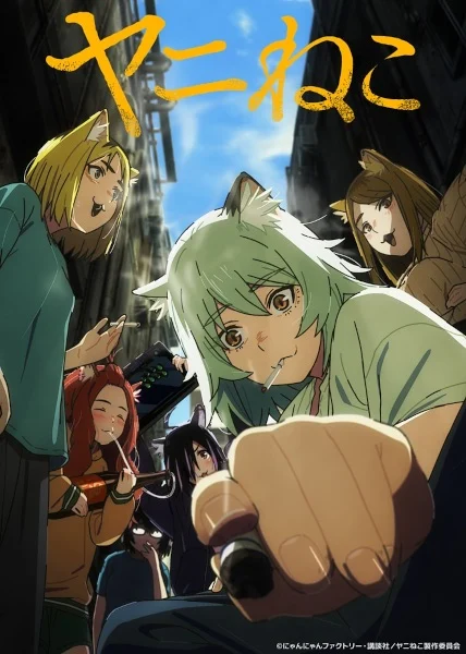 انمي Yani Neko الحلقة 12 مترجمة والاخيرة